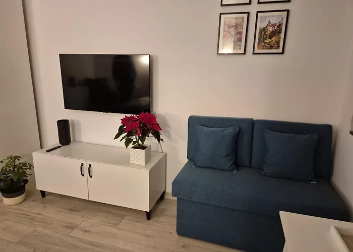 Zara Studio Brasov
