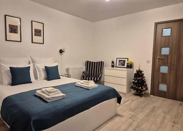 Zara Studio Brasov
